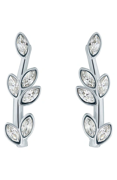 Shop Ted Baker Senia Serpentine Crystal Stud Earrings In Silver Clear Crystal