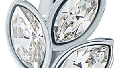 Shop Ted Baker Senia Serpentine Crystal Stud Earrings In Silver Clear Crystal