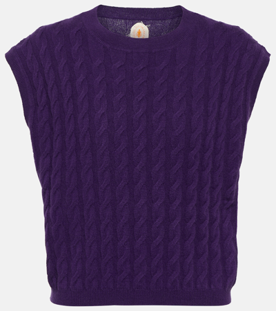 Shop Jardin Des Orangers Cable-knit Cashmere Vest In Purple