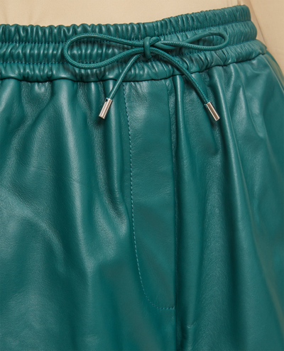 Shop Loewe Elasticated Shorts In Green