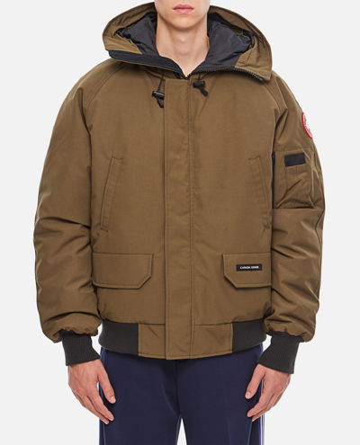 Shop Canada Goose Chilliwak Bomber In Green