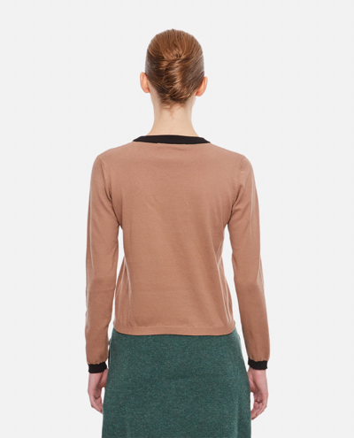 Cormio Take The Lead Knitted Sweater In Brown