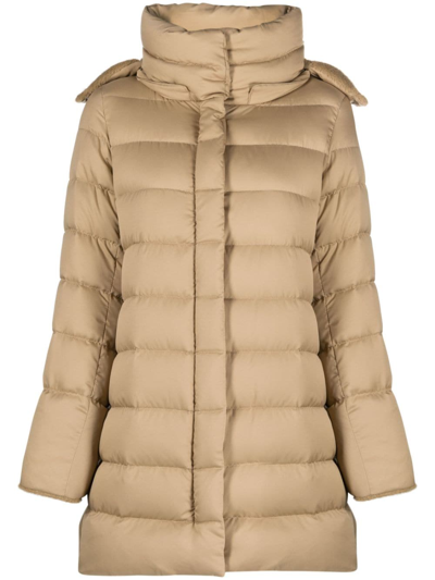 Shop Herno Quilted Hooded Coat In Brown