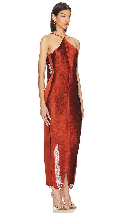 Shop Cult Gaia Renata Gown In Rust