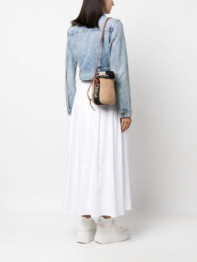 Chloé Small Woody Bucket Bag In Neutrals