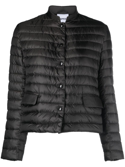 Shop Aspesi Band-collar Puffer Jacket In Black