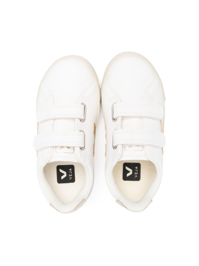 Shop Veja Recife Low-top Sneakers In White