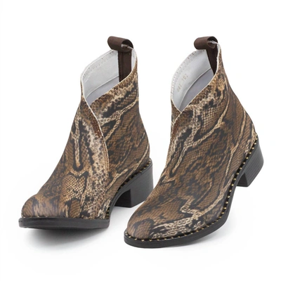 Shop Charleston Shoe Co. Barcelona Boot In Python In Brown