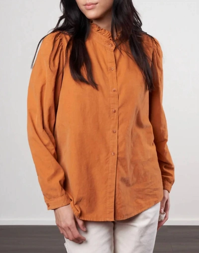 Shop A Shirt Thing Peggy Baby Cord In Pumpkin In Orange