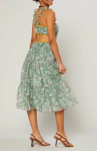 Shop Current Air Lasalle Open Back Midi Dress In Floral Sage In Green