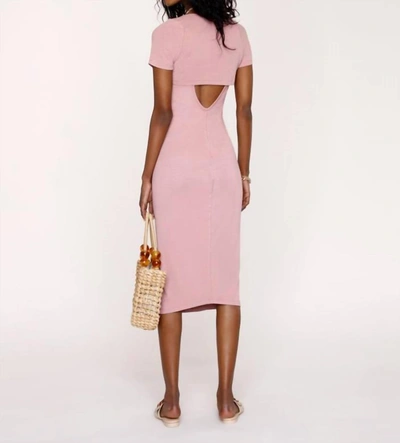 Shop Heartloom Savvy Dress In Lily In Pink