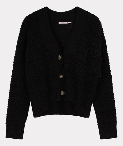 Shop Esqualo Short Zz Knit Cardigan In Black