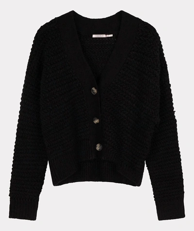 Esqualo Short Zz Knit Cardigan In Black