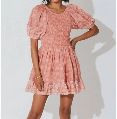 Shop Cleobella Mina Mini Dress In Camera Floral In Pink