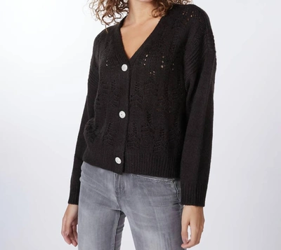 Shop Esqualo Pointelle Knit Cardigan In Black