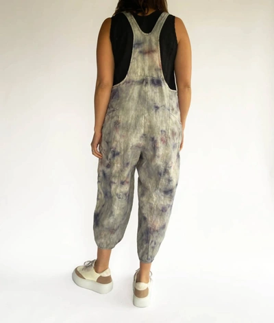 Shop Cynthia Ashby Spree Overall In Smoothie In Multi