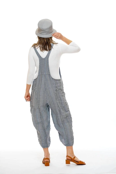 Shop Cynthia Ashby Spree Overall In Stripes Heron In Multi