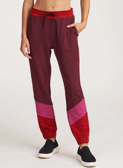 Shop Thrive Societe Color Block Jogger In Fig In Pink