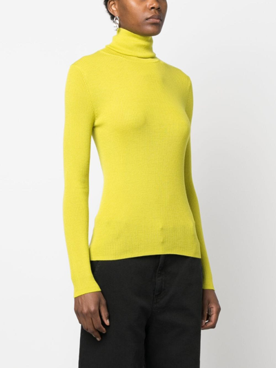 P.a.r.o.s.h Roll-neck Wool Jumper In Green