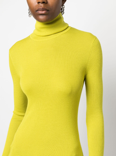 P.a.r.o.s.h Roll-neck Wool Jumper In Green