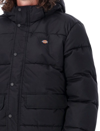 Shop Dickies Glacier Puffer Jacket In Black