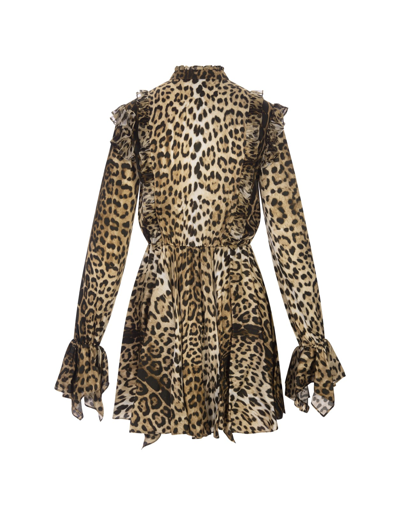 Shop Roberto Cavalli Leopard Mini Dress With Ruffles And Asymmetrical Hemline In Marrone