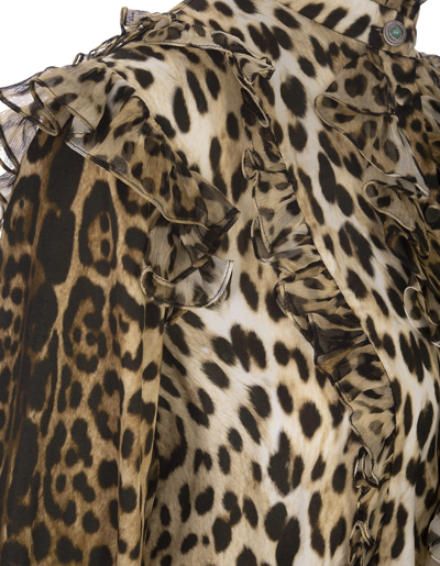 Shop Roberto Cavalli Leopard Mini Dress With Ruffles And Asymmetrical Hemline In Marrone