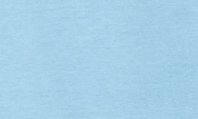 Stone Rose French Terry Shorts In Light Blue