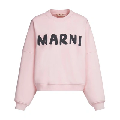 Shop Marni Sweatshirt In Pinkgummy