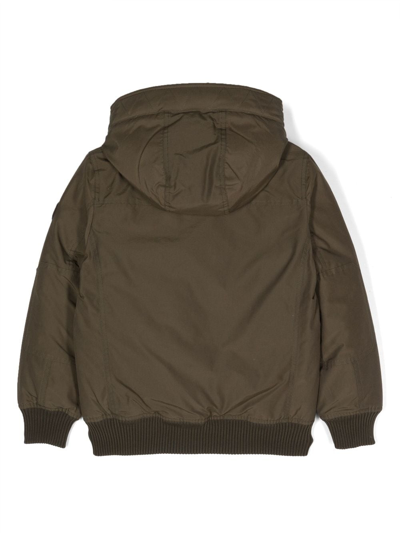 Shop Woolrich Buttoned Hooded Bomber Jacket In Green