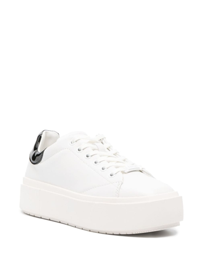 Shop Calvin Klein Low-top Leather Sneakers In White