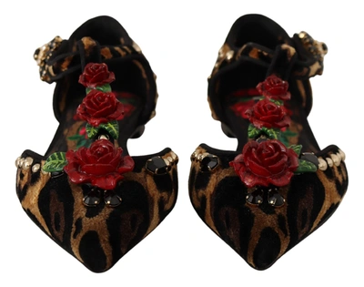Shop Dolce & Gabbana Brown Ballerina Embellished Leopard Print Women's Shoes