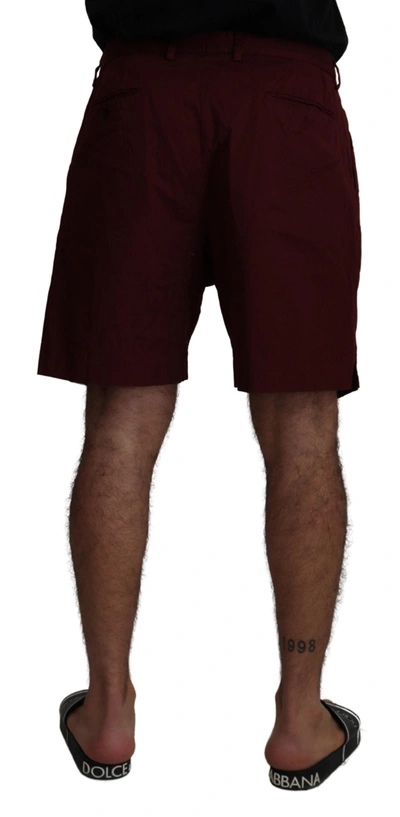 Shop Dolce & Gabbana Maroon Cotton Bermuda Casual Men's Shorts
