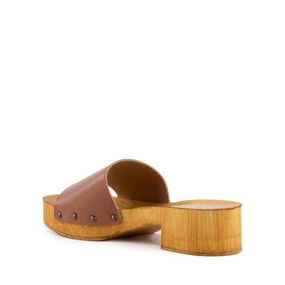 Seychelles Marine Layer Leather Wood Sandal In Multi