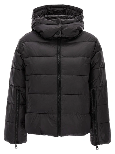 Shop Twinset Hooded Puffer Jacket In Black