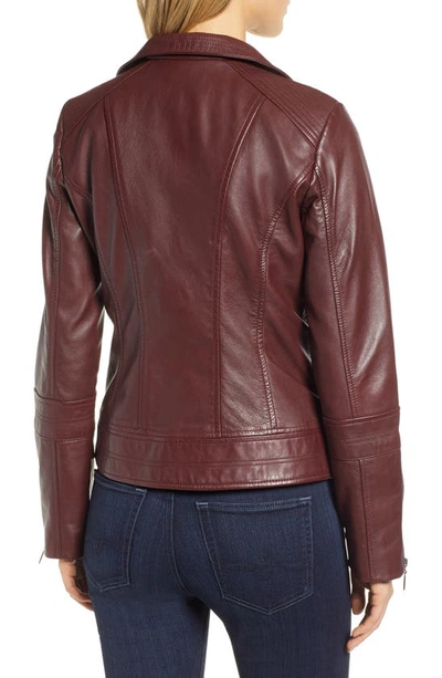 Shop Bernardo Leather Moto Jacket In Deep Burgundy