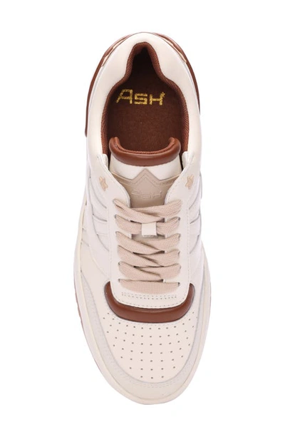 Shop Ash Blake Sneaker In Gardenia/ Amber