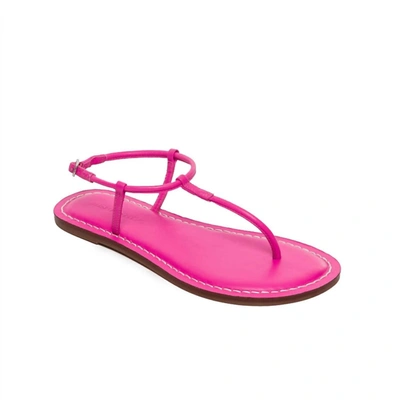 Shop Bernardo Lilly Sandal In Fuchsia In Pink