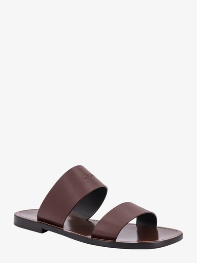 Shop Celine Man Lerins Man Brown Sandals