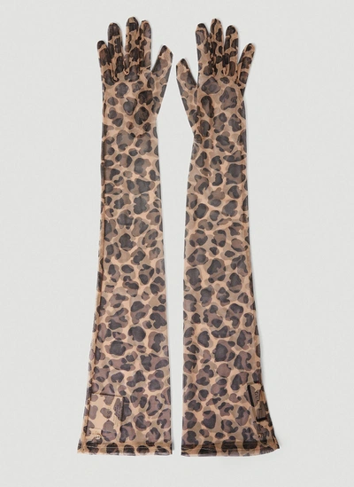 Shop Gucci Women Leopard Print Gloves In Brown