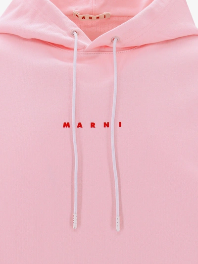 Shop Marni Man Sweatshirt Man Pink Sweatshirts