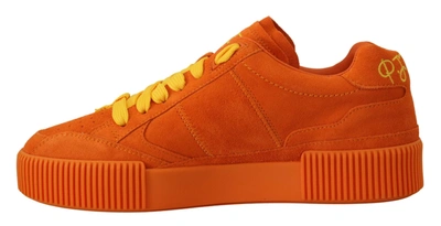 Shop Dolce & Gabbana Orange Leather P.j. Tucker Sneakers Women's Shoes