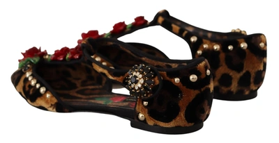Shop Dolce & Gabbana Ballerina Embellished Leopard Print Women's Shoes In Brown