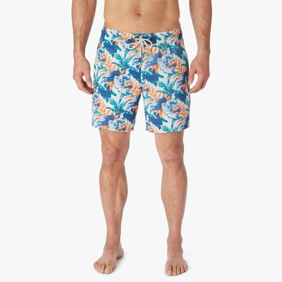 Shop Fair Harbor The Bayberry Trunk In Multi