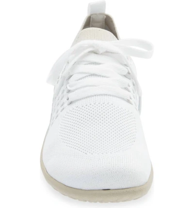 Shop Naot Tama Sneaker In White/dark Gray Knit In Multi