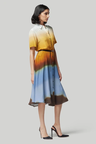 Shop Altuzarra 'kiera' Dress In Golden Ochre Landscape