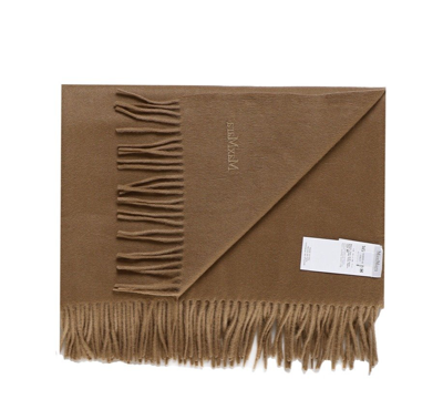 Shop Max Mara Logo Embroidered Fringed Scarf In Brown