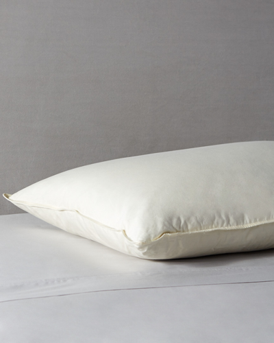 Shop Belle Epoque Proprietors Soft Fill Down Pillow