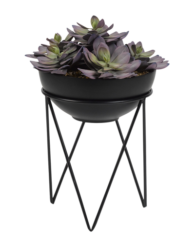 Shop D&w Silks Frosted Pink Echeveria In Black Resin Bowl With Metal Stand