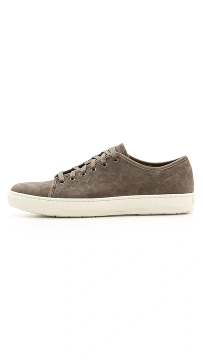 Shop Vince Austin Sneakers In Granite